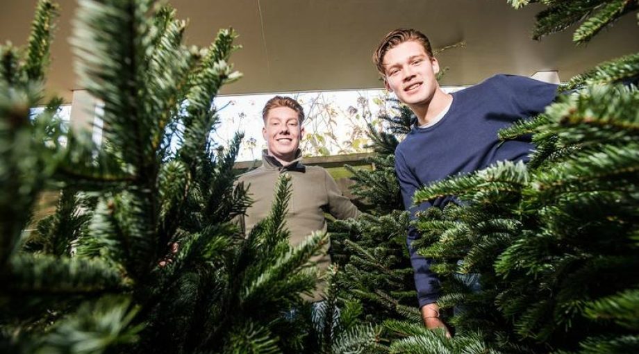 Online kerstbomenhandel verkoop tieners ondernemers kerst kerstboom leverancier 1
