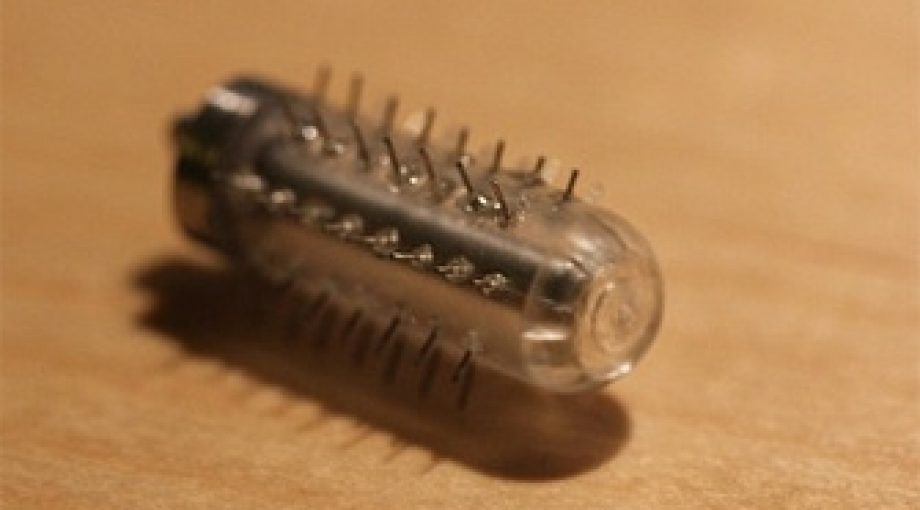 Perforatiepil 335