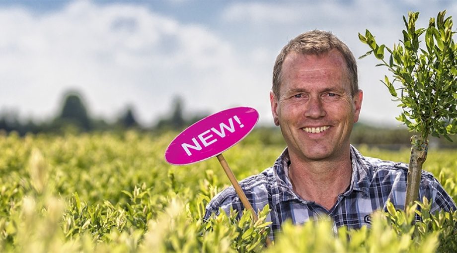 Peter bontekoe brexit boskoop kweker salix