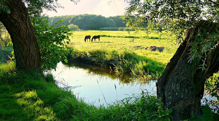 Platteland 1065
