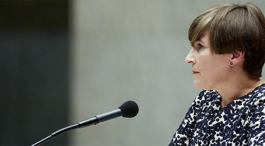 Ploumen 1065