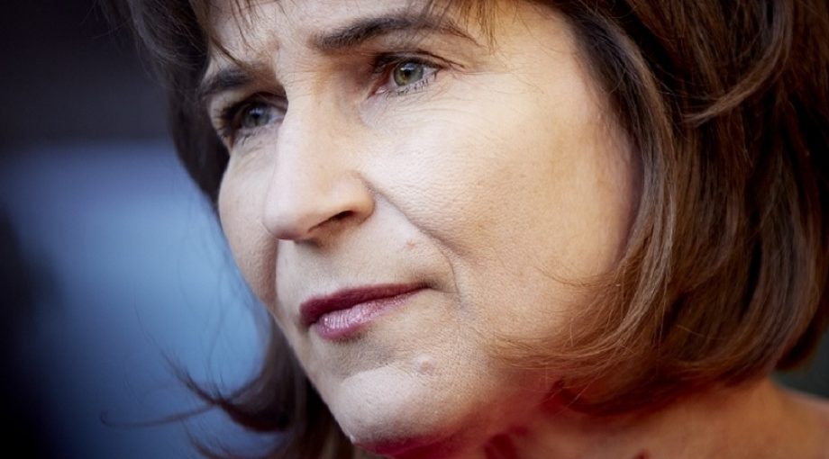 Ploumen 3