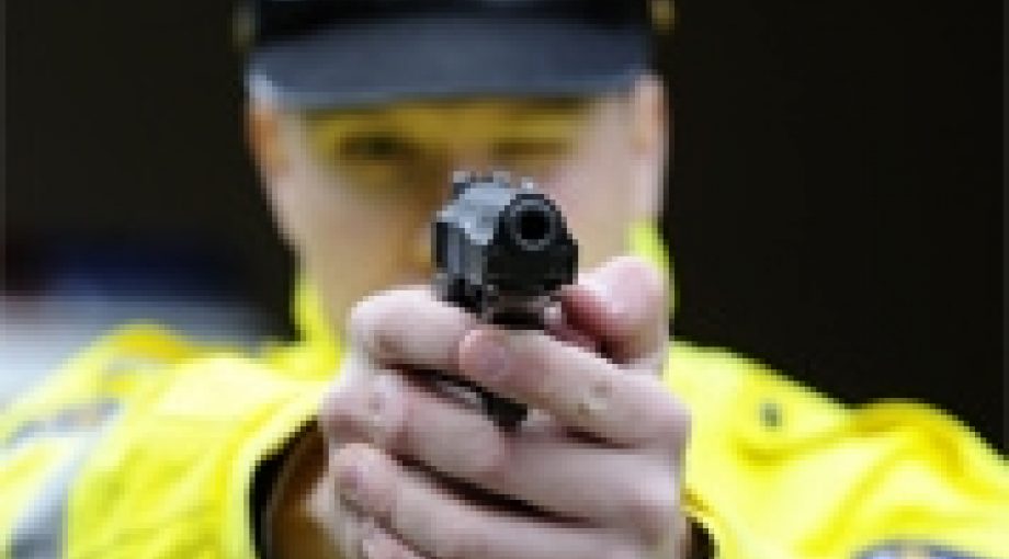 Politie pistool 178