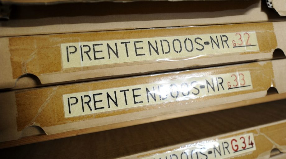 Prentendoos annina romita