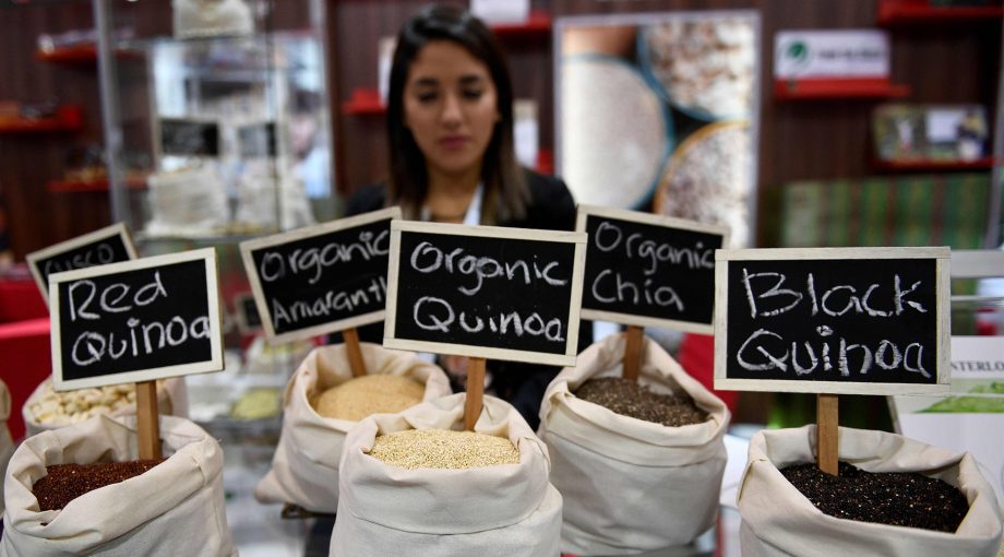 Quinoa2