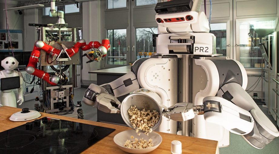 Robochef ingo wagner