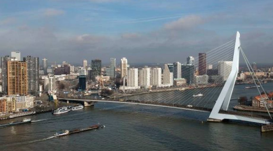 Rotterdam middelgroot