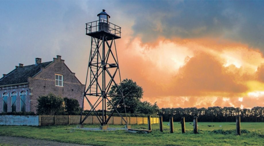 Schoklandnoordoostpolderkruider
