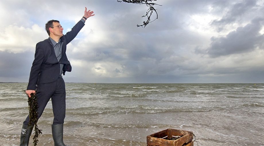 Seaweed company bart hoogland