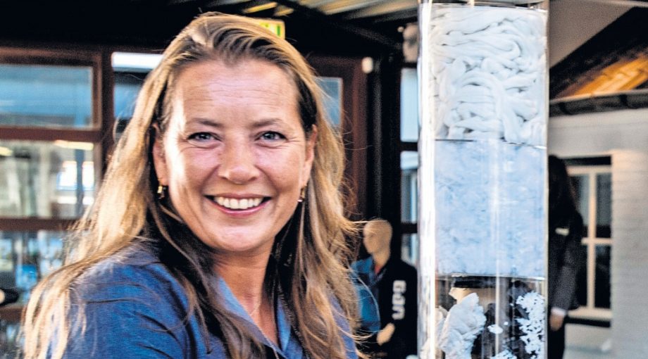 Shirley schijvens