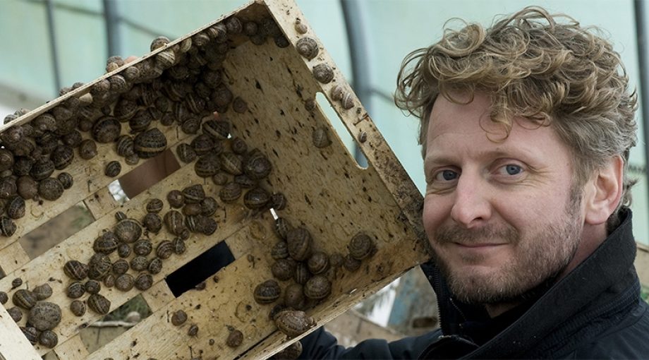 Slow escargots lennard ter hall nieuwaal slakken slakkenkwekerij biologisch