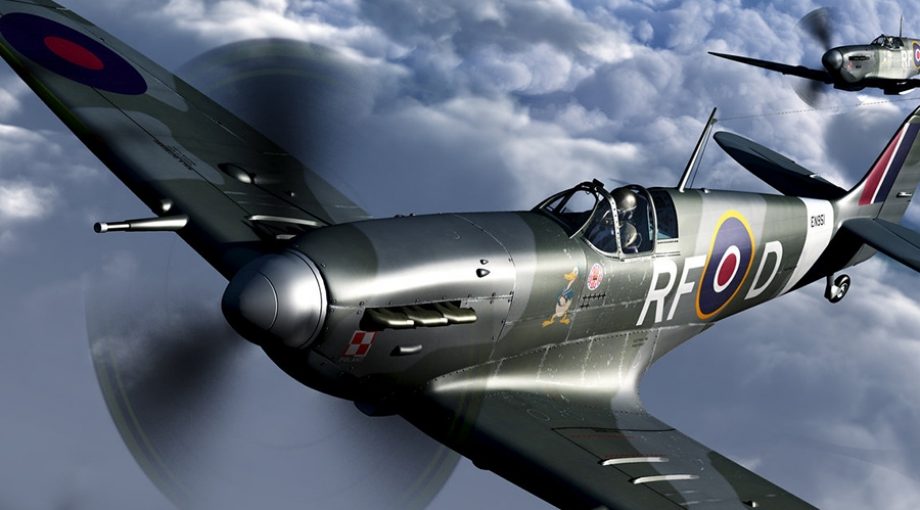 Spitfire groot 1