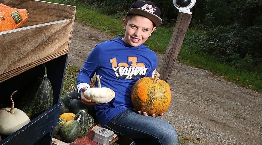 Tk Dgfoto Hummelopompoenenverkoper01 theokock