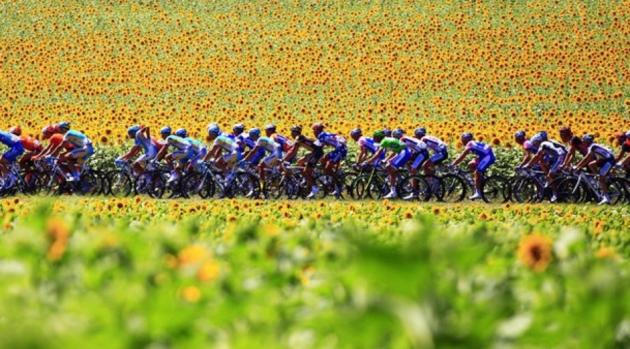 Tour de france melkkoe utrecht 2 335