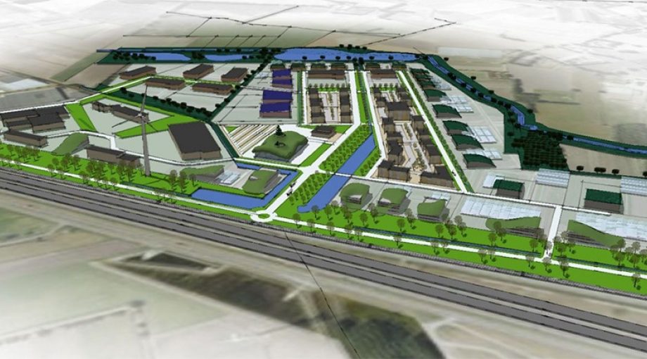 Treeport treehub boomteelt zundert brabant