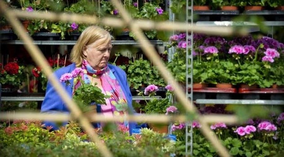 Tuincentra groot