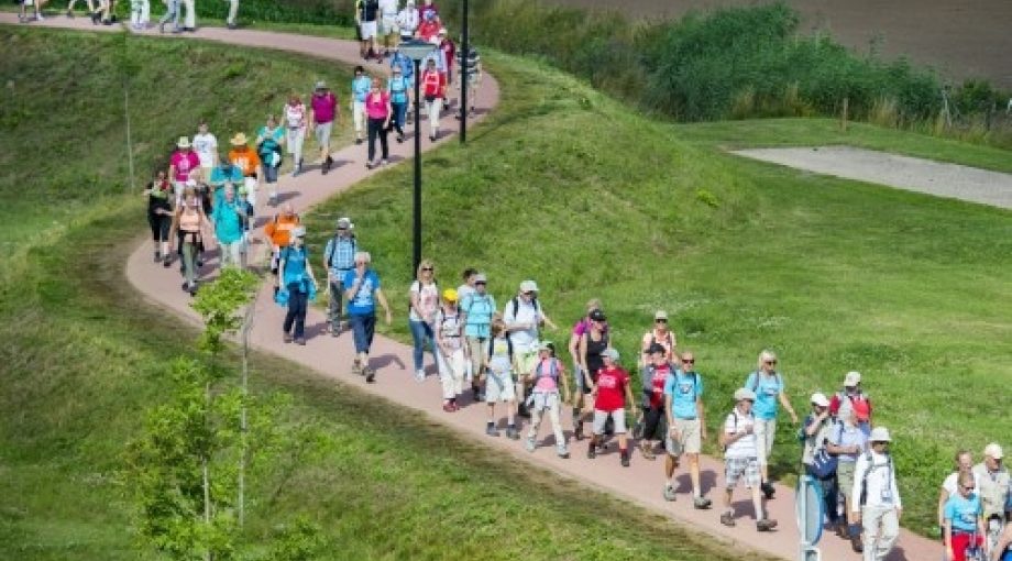 Vierdaagse wandelen rolstoeler via gladiola 335