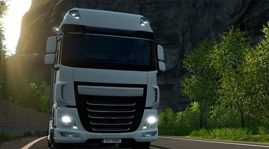 Vrachtwagenchauffeur1065