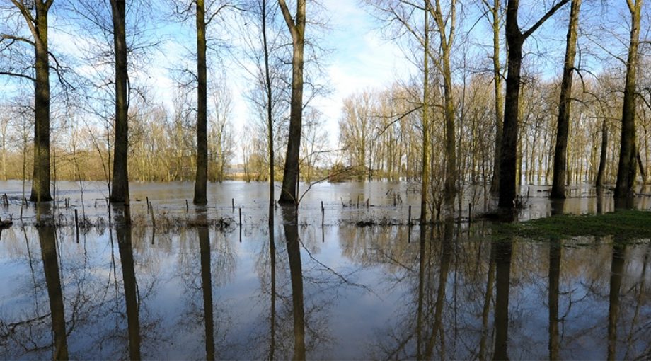 Waterschaplimburg1065