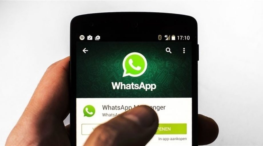 Whatsapp anp