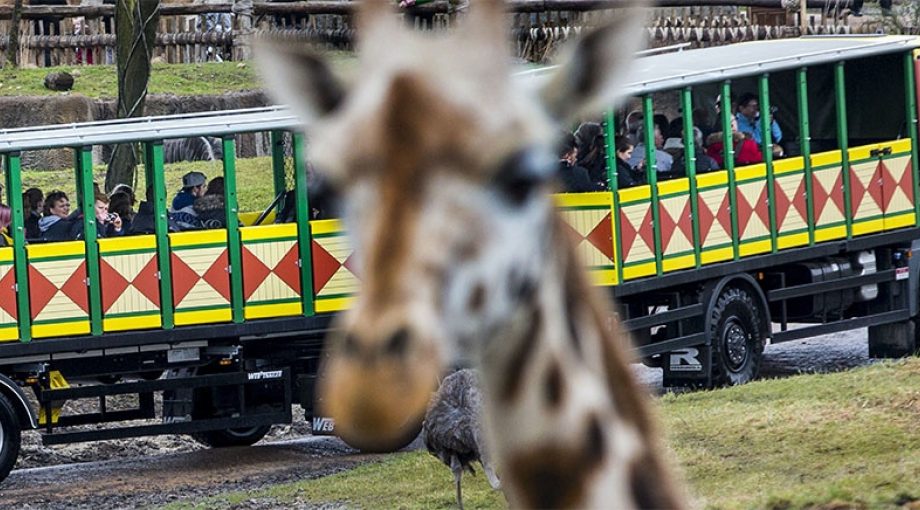 Wildlands emmen