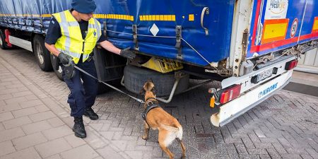 Brexit transport handel verenigd koninkrijk tln