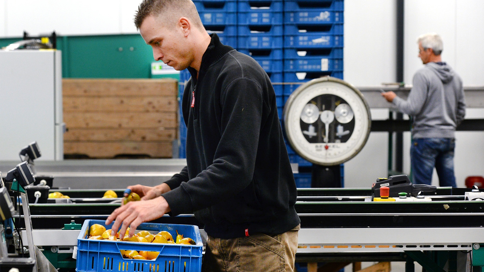 Jumbo digitaal factureren leveranciers fruit