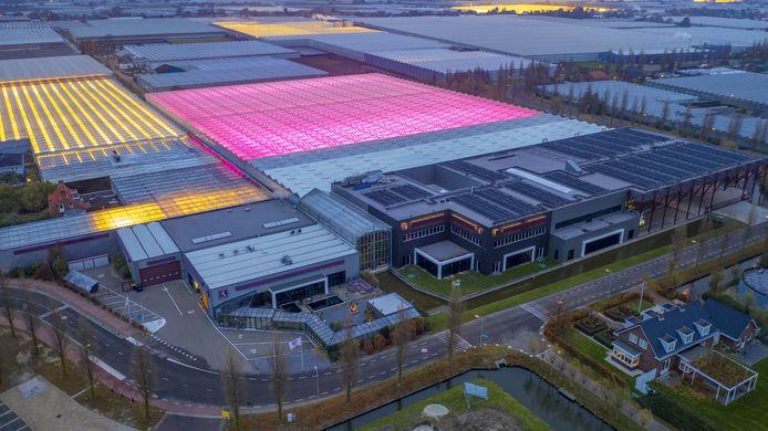 Koppert cress luchtfoto kassen