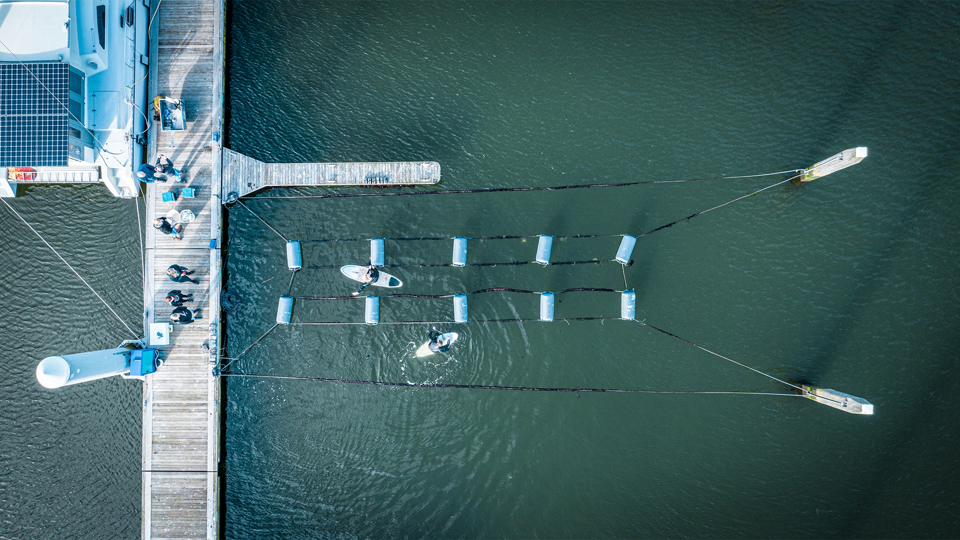 Seaweed farm boven