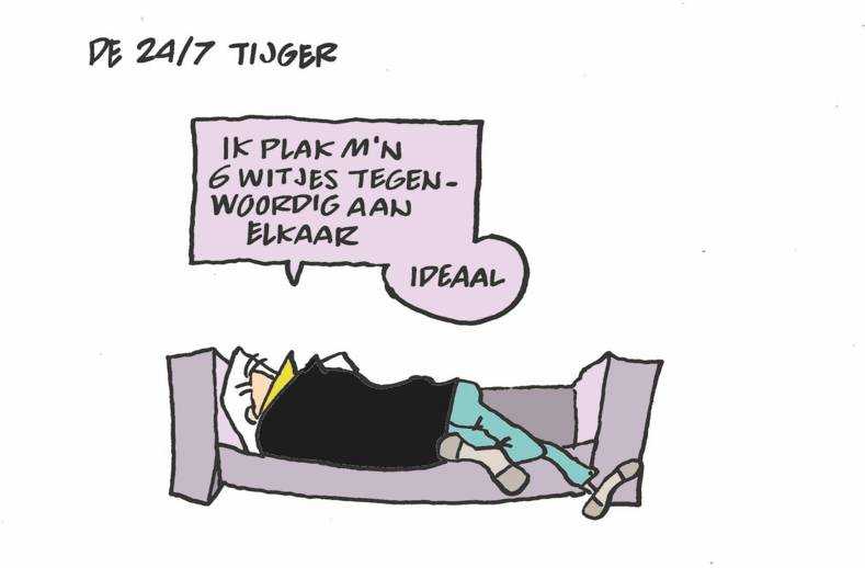 Thuiswerktypes tijger