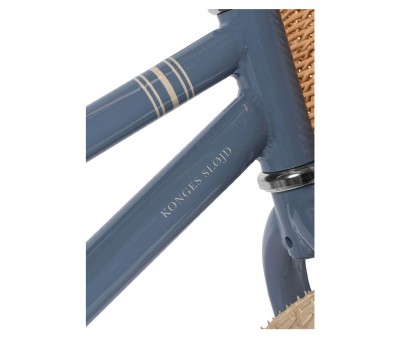 Bicicleta sin Pedales Blue Stripe