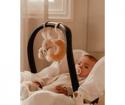 Juguetes Colgantes Anillas Newborn Naturals