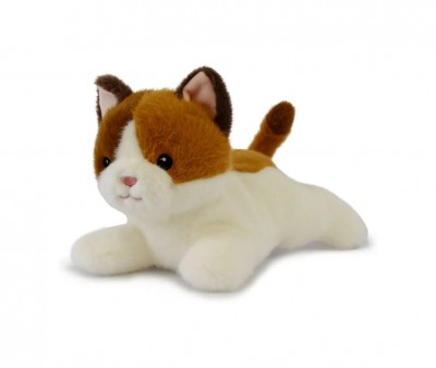 Les P'tits Relax Chaton