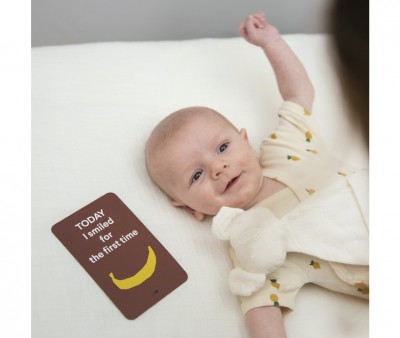 Tarjetas Mis Primeros 12 Meses Trixie