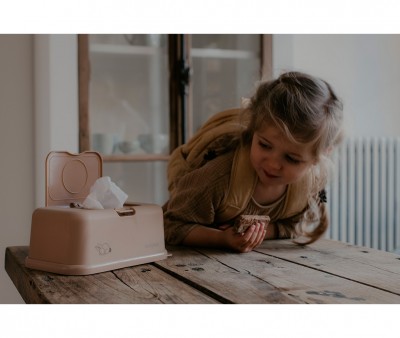 Bote  lingettes Funkybox Lapin Toffee