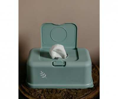 Caja Toallitas Funkybox Menta Hojas