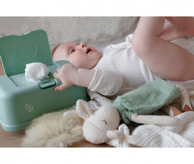 Caja Toallitas Funkybox Menta Hojas