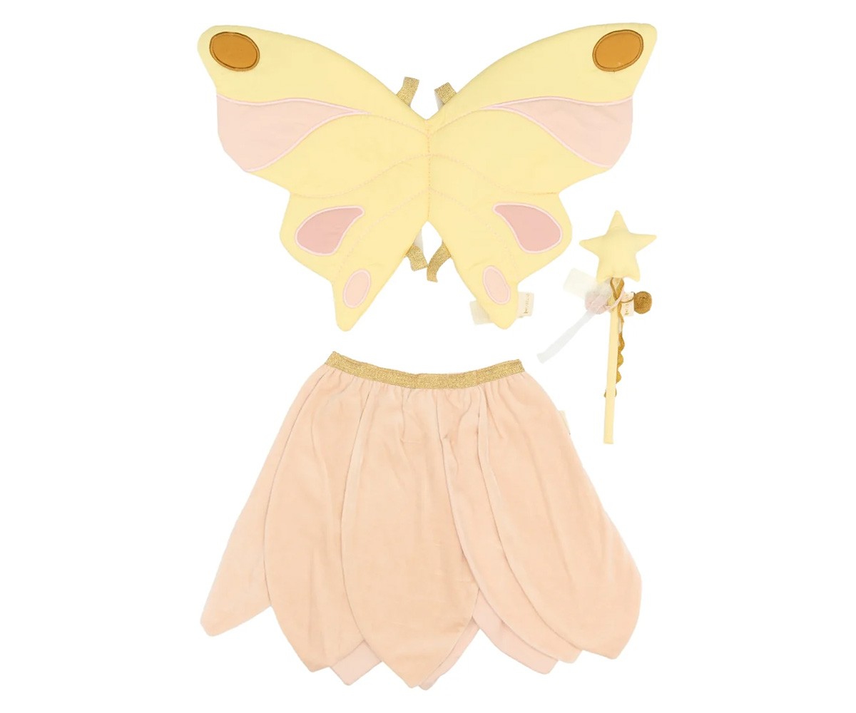 Travestimento Fairy