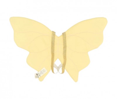 Travestimento Fairy