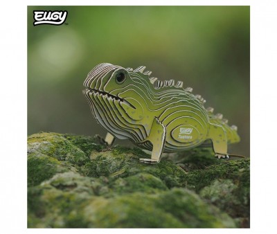 Puzzle 3D Eugy Tuatara