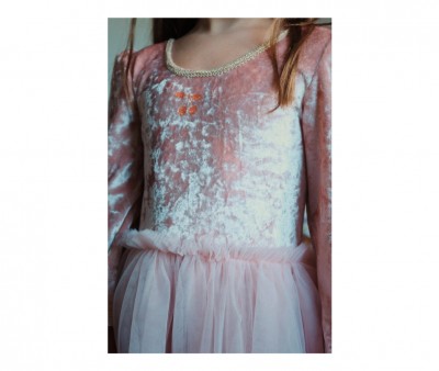 Costume Principessa Elisa Pink
