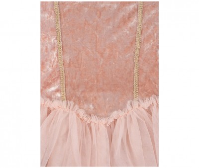 Costume Principessa Elisa Pink