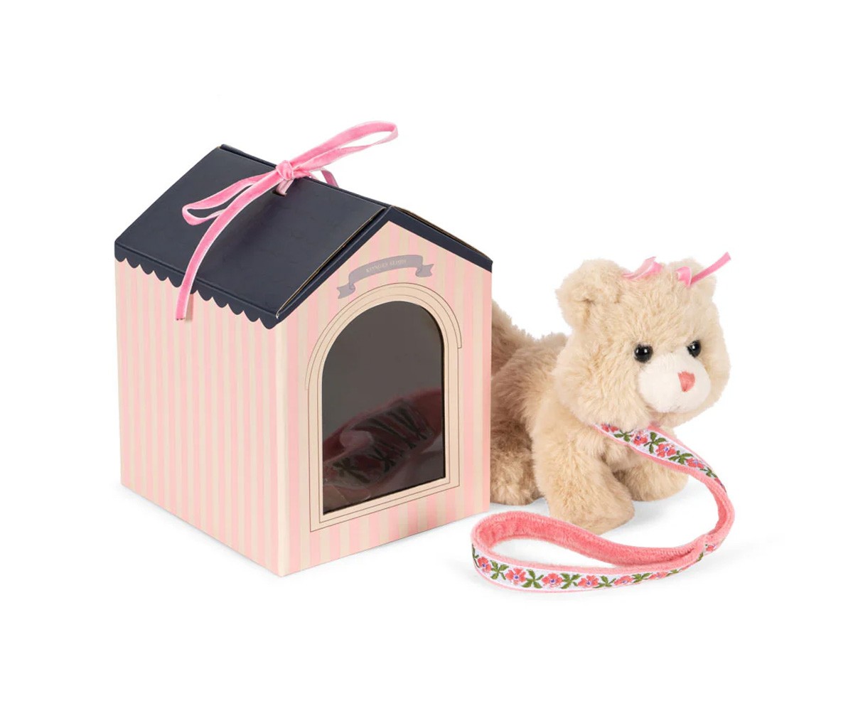Mascota Kitty Cat