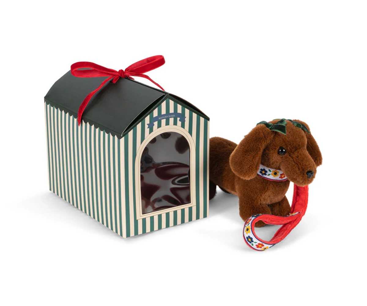 Mascota Cachorro Multi