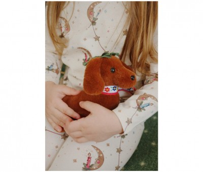 Mascota Cachorro Multi