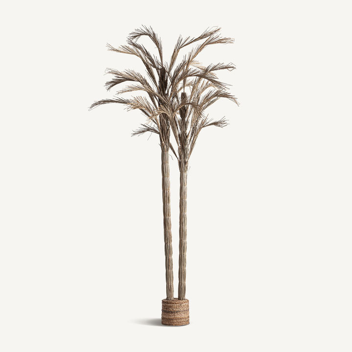 PLANTA