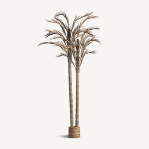 PLANTA