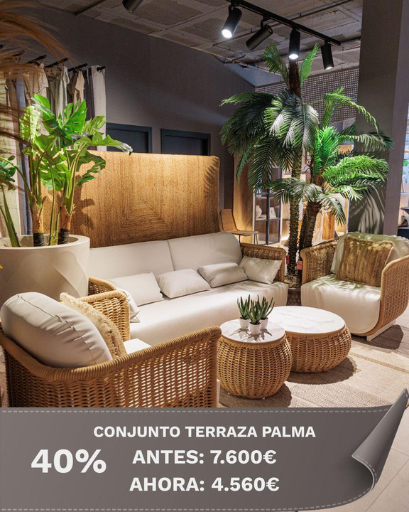 CONJUNTO EXTERIOR PALMA