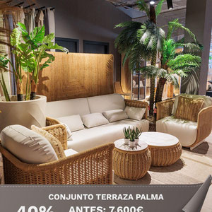 CONJUNTO EXTERIOR PALMA
