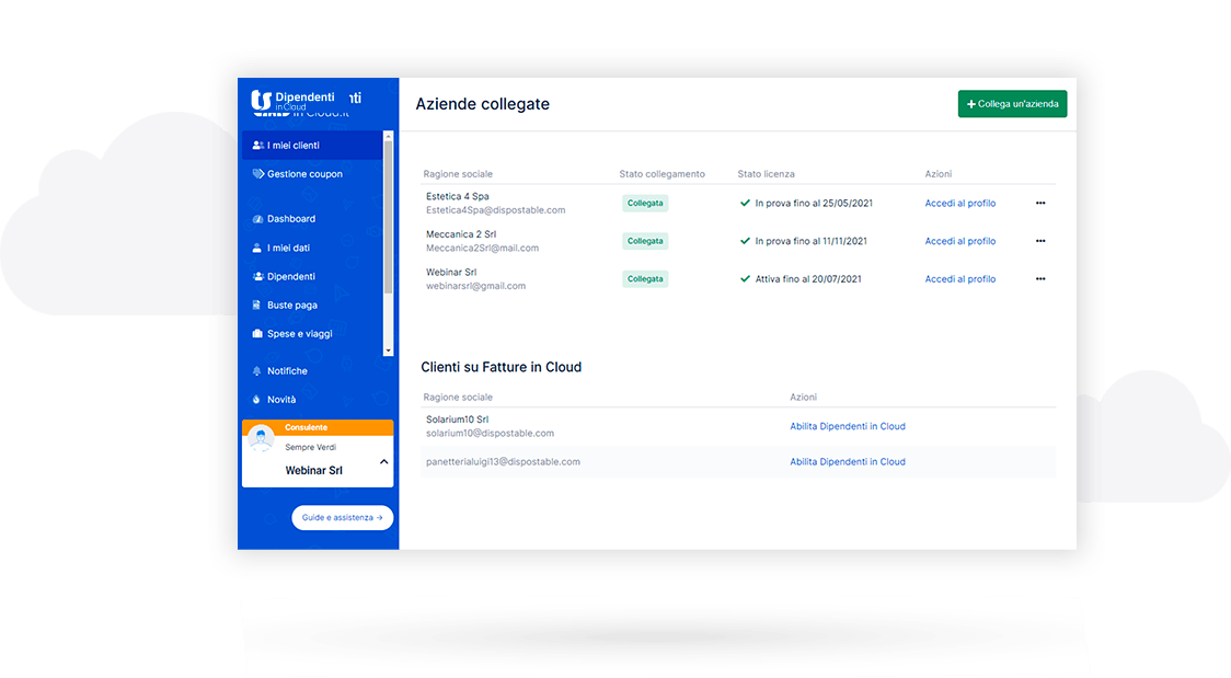 accesso-dati-azienda-consulente
